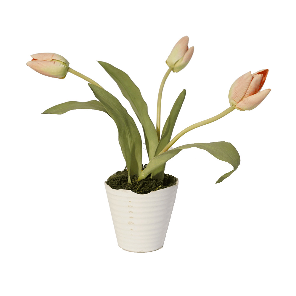 Sia vaso Tulipani – Shop Forma Design