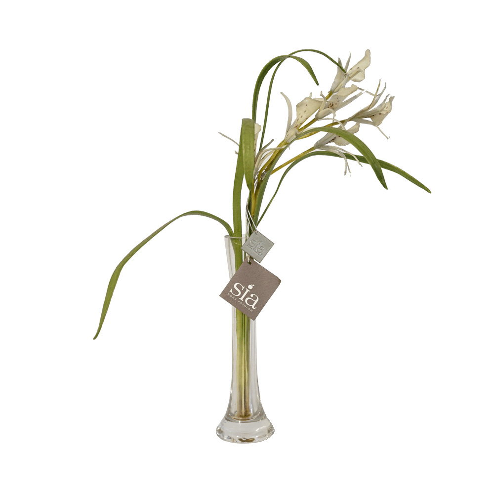 Sia vaso vetro fiori bianchi – Shop Forma Design