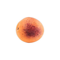 Ortigia-apricot_marble_fruit_forma-design