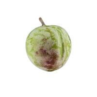 Ortigia-plum_green_marble_fruit_forma-design