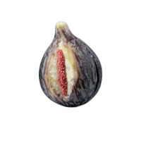 Ortigia_open_fig_marble_fruit_forma-design