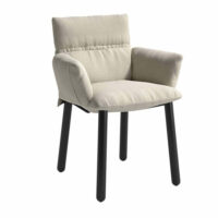 cappellini-sedia-ludina-forma-design