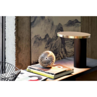 Oluce Lamp Cylinda 218 Brass-2