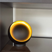 Oluce Lamp Eve 216-4