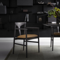 Kristalia Armchair Tonbo-3