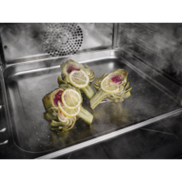 Miele Oven DGC 7440 HC Pro_2