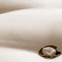 altrenotti-formadesign