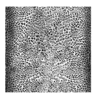 London Art Wallpaper Animalier-1