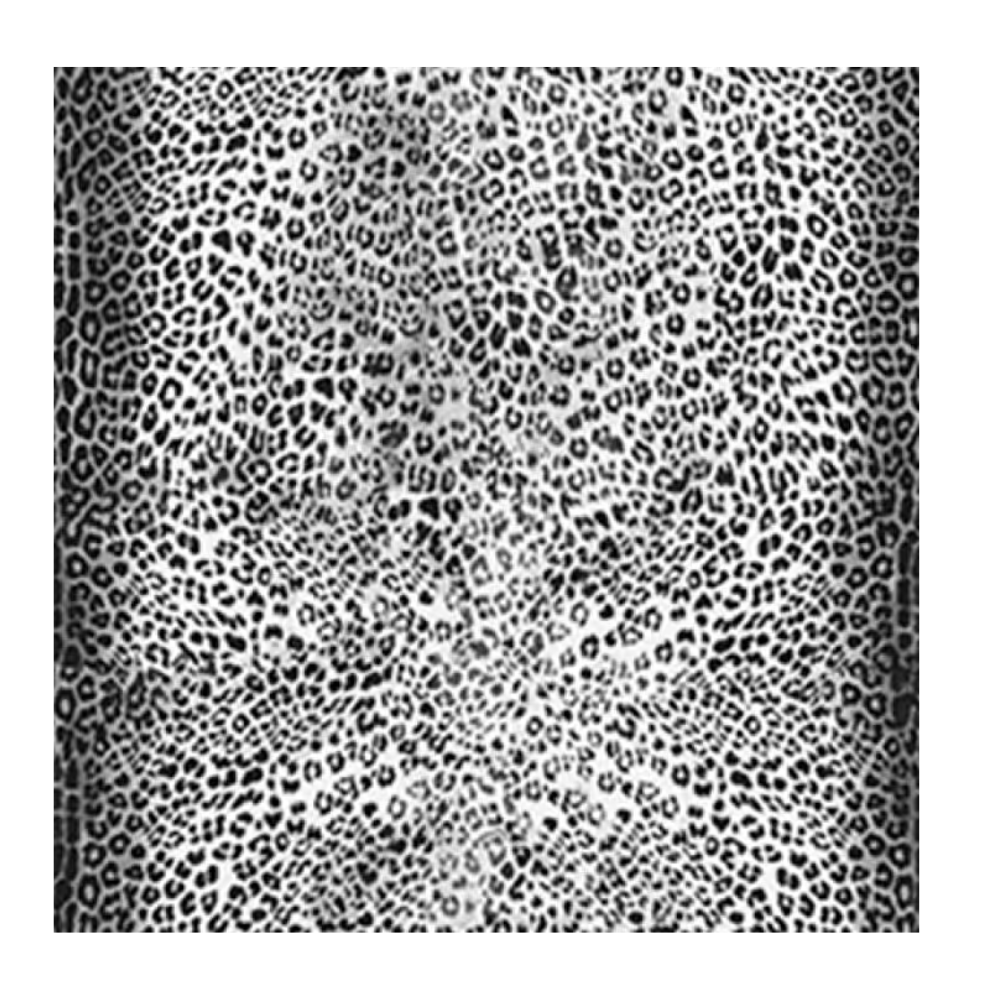 London Art Wallpaper Animalier-1