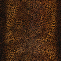 London Art Wallpaper Animalier-3