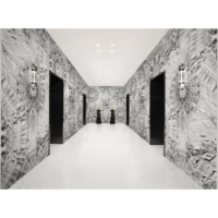 London Art Wallpaper Paris-2