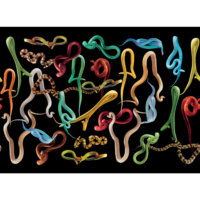 London Art Wallpaper Snakes storm-1