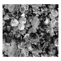 London Art Wallpaper Versailles-1