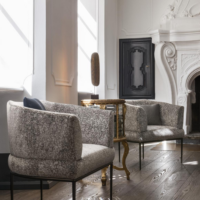 Rubelli Clinton chair-3