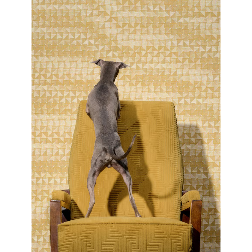 Rubelli Fabric Frank-2