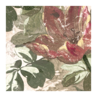 Rubelli Wallcovering Lady Roxana Wall-1