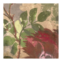 Rubelli Wallcovering Lady Roxana Wall-2