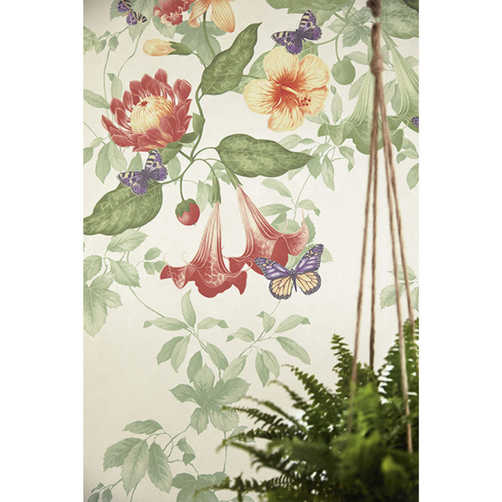Little Greene Wallpaper Asterid-1