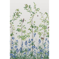 Little Greene Wallpaper Bird & Bluebell-1
