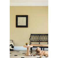 Little greene Colour Scales Paint Collection - 3