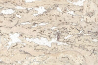 630X950_crop_min_9ca4ab35f01892d118f129ac13a3f9b5