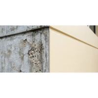 Diasen Plaster Acrilid Protect Coating-2