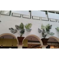 Diasen Plaster Limepaint-3