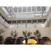 Diasen Plaster Limepaint-4