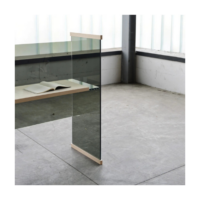 Glas Slides - 2