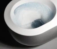 Hatria_futura_vortex