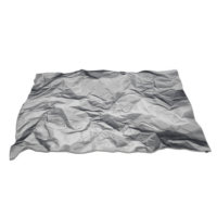 Mogg Crumpled Rug NEVERSAID - 1