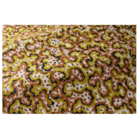 Pierre Frey Fabrics Sinularia-1