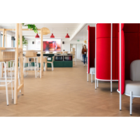 Gerflor Floorcover Taralay Impression Acoustic (2)