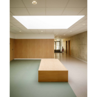 Gerflor Wallcover Decowood-2