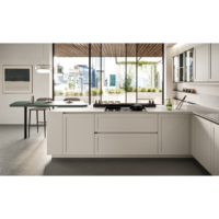 Record cucine Kitchen Treatment-2