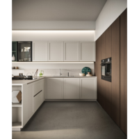 Record cucine Kitchen Treatment-3