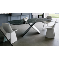 Bonaldo chair Agea (4)