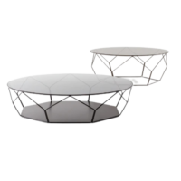 Bonaldo coffee table Arbor - 1