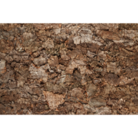 Granorte Wallcovering Bark