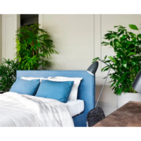 Villevenete Bed Key West-3