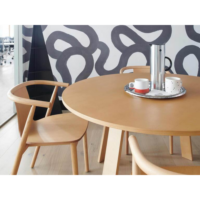Cappellini armchair Bac - 4